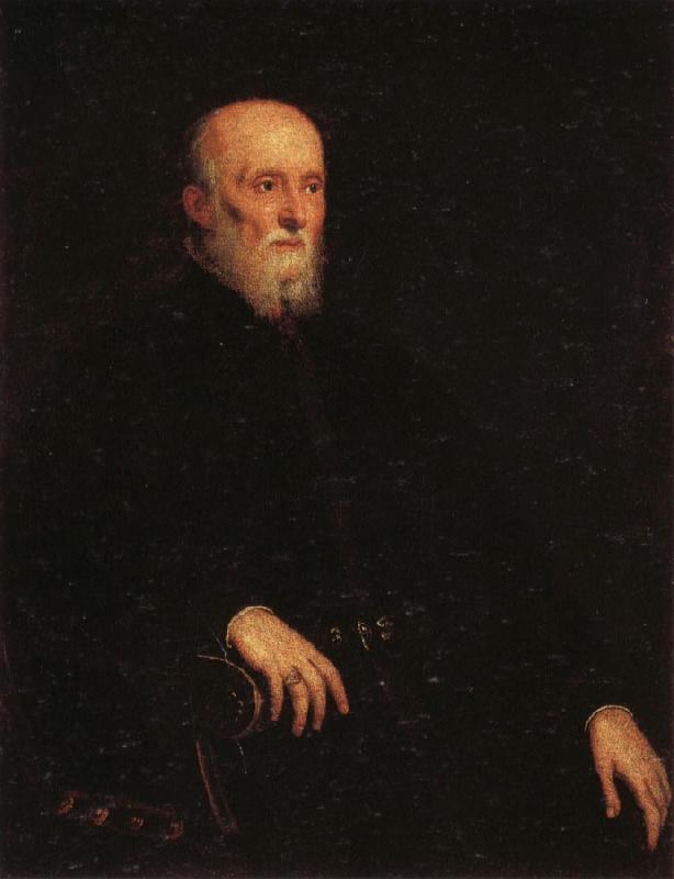 Jacopo Tintoretto Portrati of Alvise Cornaro France oil painting art